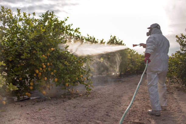 Wasp Removal Services in Conashaugh Lakes, PA