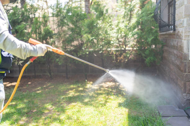 Best Local Pest Control Services  in Conashaugh Lakes, PA