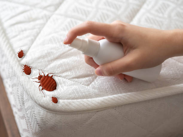 Best Residential Pest Control  in Conashaugh Lakes, PA