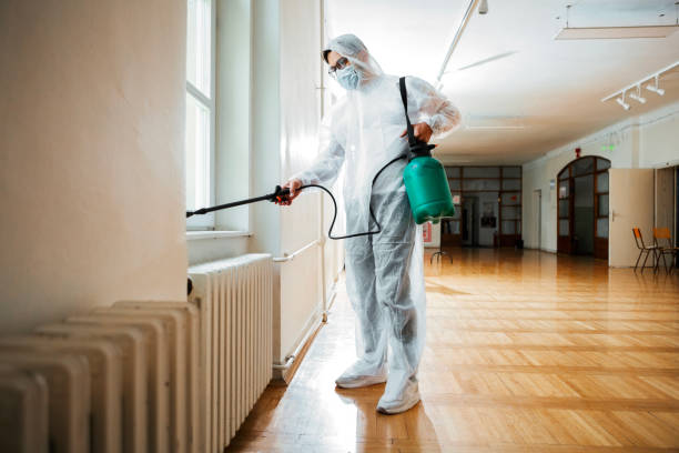 Best Wasp Removal Services  in Conashaugh Lakes, PA